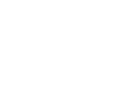Evolution games at Planetax Bet Casino